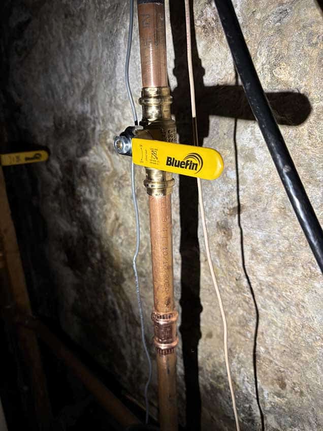 Gas Line Check Valve