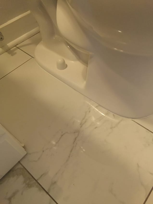 Toilet Leak Repair